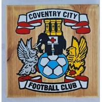 Carved & painted Football Plaques