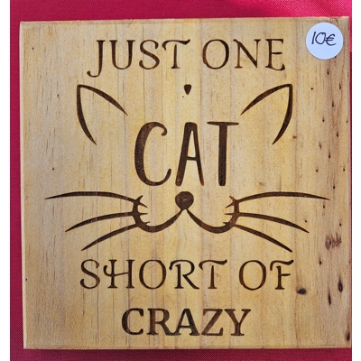 One cat short of crazy One cat short of crazy