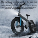 Q3 250W All-terrain Off-road Electric Bicycle with 20 inch Tires, EU Plug (Iron Black)