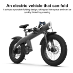 Q3 250W All-terrain Off-road Electric Bicycle with 20 inch Tires, EU Plug (Iron Black)