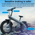 Q3 250W All-terrain Off-road Electric Bicycle with 20 inch Tires, EU Plug (Iron Black)