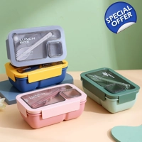 Rectangle Microwaveable Lunch Box Hermetic Bento Box with Spoon