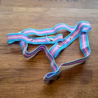 Trans Pride 3 Way Strap - v1