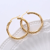 Twist design hoop earrings