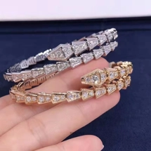 Stylish snake design zi..