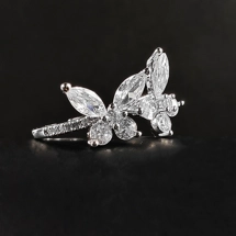 Butterfly open ring