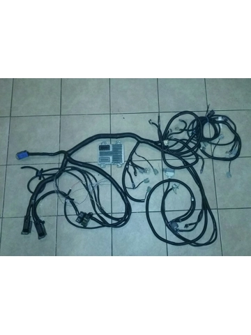 LS Swap Package GEN 4 DBW