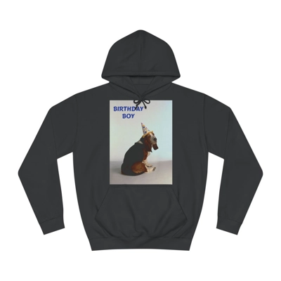 Birthday Boy Basset Dog Hoodie