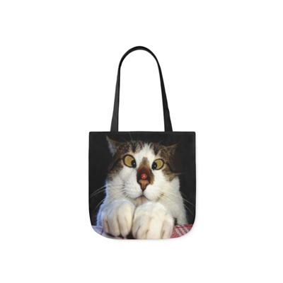 Funny Crossed Eyed Cat And Ladybird Shoulder Tote Bag
