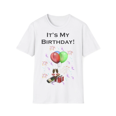 It's My Birthday Balloons And Wine Adult T-Shirt