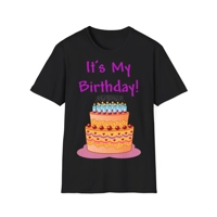 It's My Birthday And Cake Adult T-Shirt