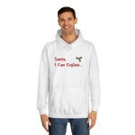Santa I Can Explain Funny Christmas Quote Hoodie