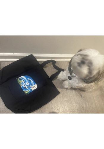 Earth (Animal rescue Song Totes)