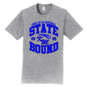 2025 11U State Tournament Baseball T