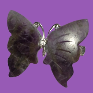 Butterfly Hair Clips