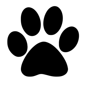 Vinyl Decals