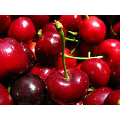 Prunus avium 'Bigarreau Burlat