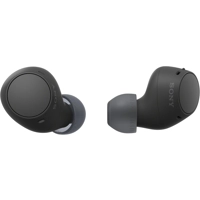 Sony WF-C510 Truly Wireless in-Ear Bluetooth Earbud Headphones