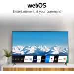 LG 43UN7300PUF  Built-in 43 inch 4K Ultra Smart TV LG 43UN7300PUF  Built-in 43 inch 4K Ultra Smart TV