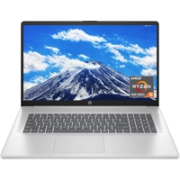 17.3 inch Laptop,  Display, AMD