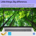 17.3 inch Laptop,  Display, AMD 17.3 inch Laptop,  Display, AMD