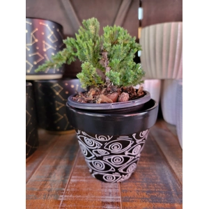 Hand Painted Mandala Terra Cotta Planter Personalized Gift