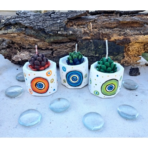 3 Pack Succulent or candle Pot Set Cement Plant full color