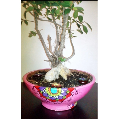 Clay pots for your bonsai