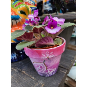 Mandala Clay pots, hand-painted