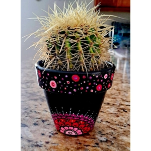 Custom Hand Painted Mandala Terra Cotta Planter Personaliz..