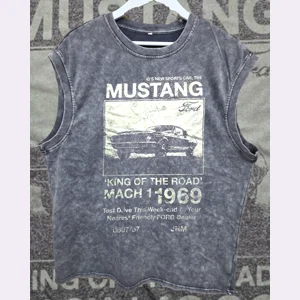 1969 Mustang