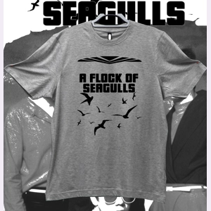 A Flock Of Seagulls
