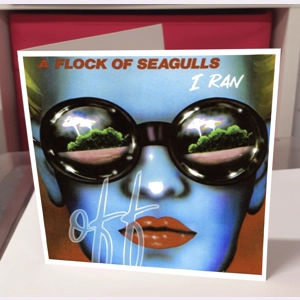 A Flock of Seagulls