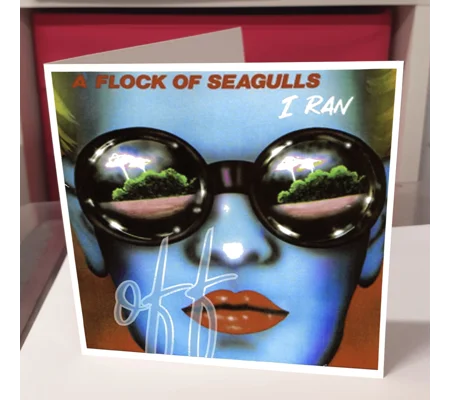 A Flock of Seagulls