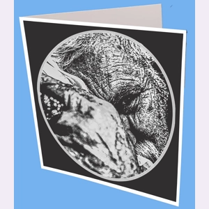 Can you Bear me greeting Card