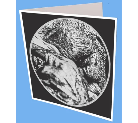Can you Bear me greeting Card