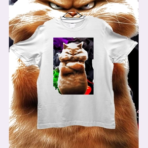 Cartoon Cat Cartoon Cat