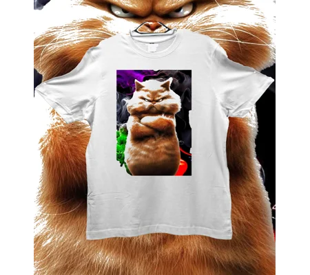 Cartoon Cat