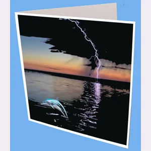 Dolphin Jump Greeting Card