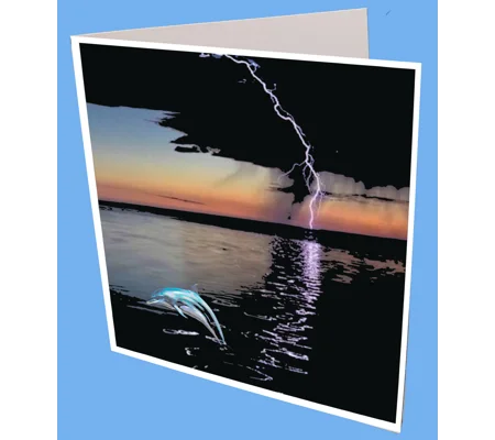 Dolphin Jump Greeting Card