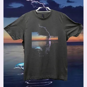 Dolphin Jump