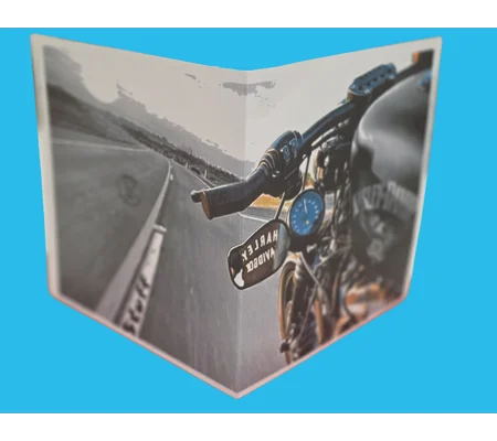 Funk Junk Harley Greeting Card