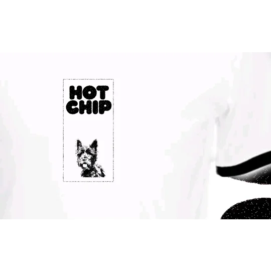 Hot Chip