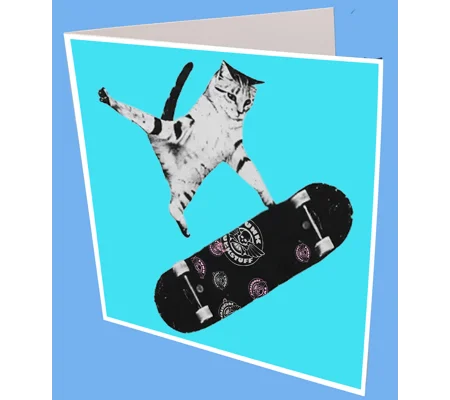 Kitty Kick Greeting Card