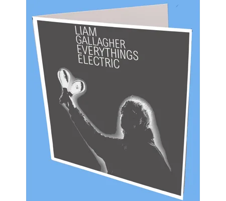 Liam Everything Electric Greeting Card