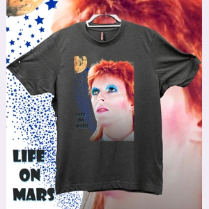 Life On Mars