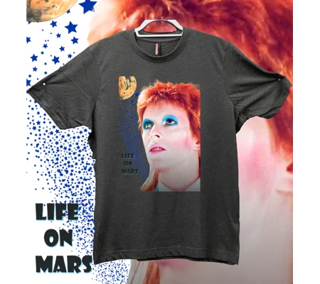 Life On Mars
