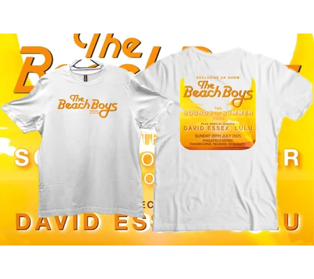 The Beach Boys 2025