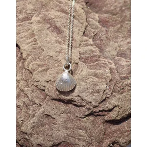 Sterling Silver Shell Necklace