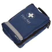 AA First Aid Kit In Green Bag